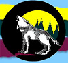 Sister Wolf logo